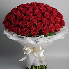 Букет 101 Красная роза Блэк Мэджик в Глебычево