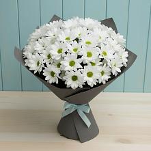 Букет цветов из:  Хризантемы #REPLACE_PRED# Глебычево