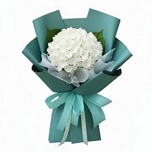 Букет цветов из:  Гортензия в Глебычево